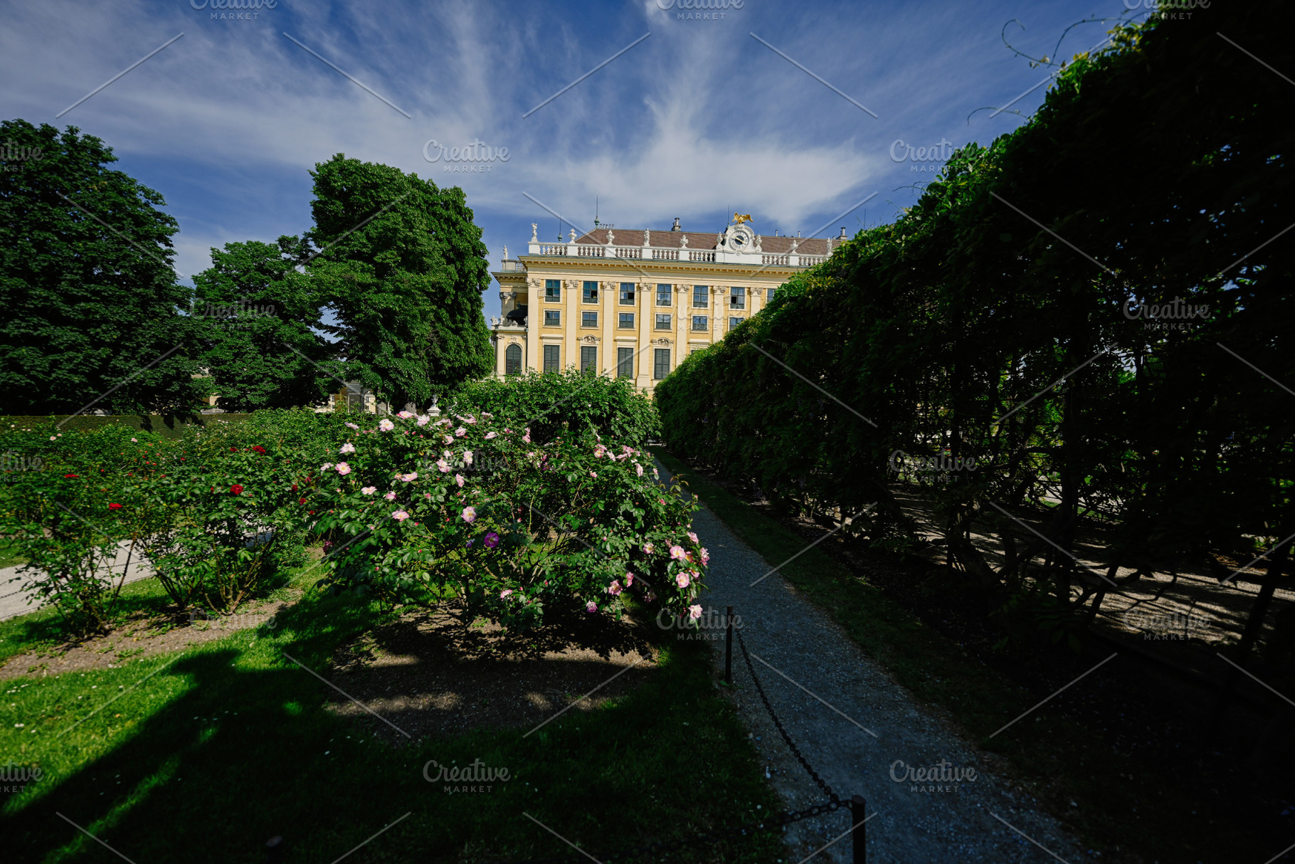 Garden of famous Schonbrunn Palace in Vienna, Austria., a Person Photo by AS photostudio