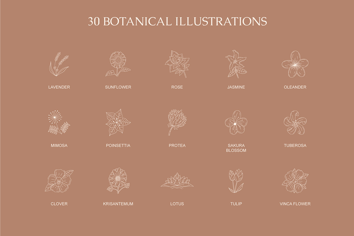 Floral Logo & Illustration, a Branding & Logo Template by Lightsense (Photo 3 of 10)