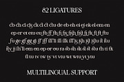 Wistenia Typeface, a Serif Font by Ivan Rosenberg (Thumbnail 5 of 18)