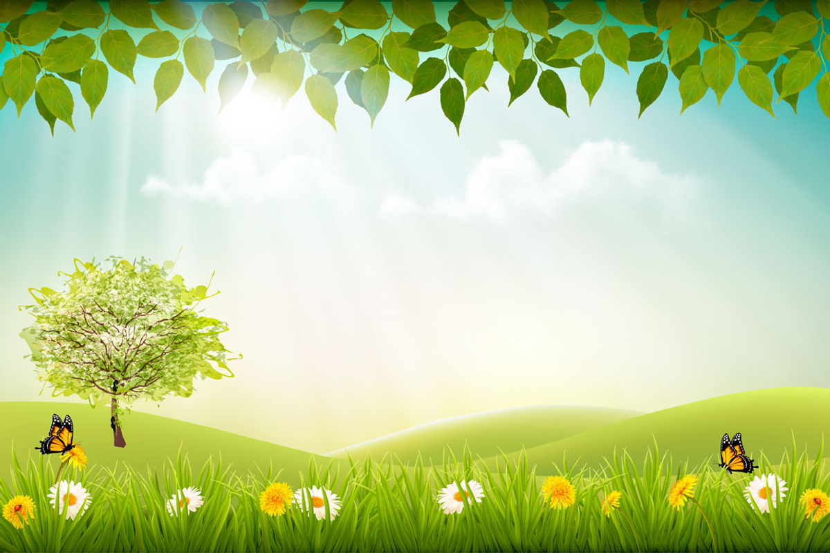 Summer nature background, a Texture Illustration by ecco, image size:1200x800