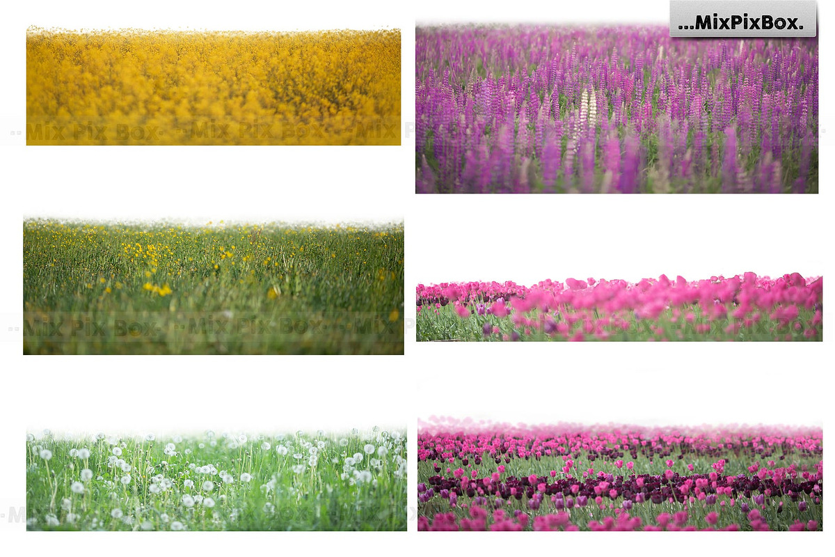 Flowers and Grass Overlays, an Object Graphic by MixPixBox (Photo 4 of 6)