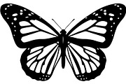 Butterfly Silhouette Bundle, an Object Graphic by Designer_Momina (Thumbnail 10 of 20)