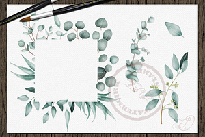 Eucalyptus 2 Watercolor Clip Art