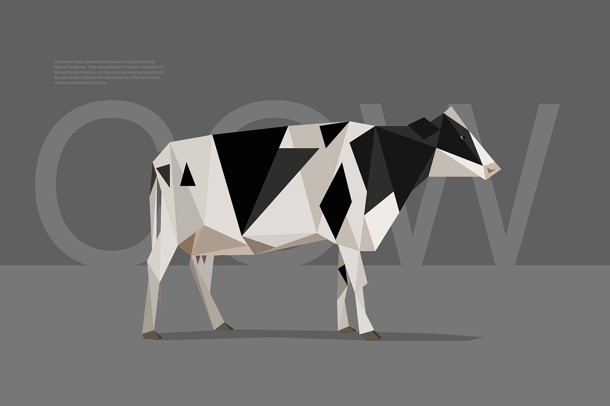 Farm Animals Pack in Low Poly Style, an Illustration by Volkan Aydemir (Photo 7 of 12)