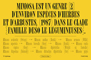 TT Espina, a Serif Font by TypeType (Thumbnail 2 of 15)