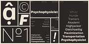 Bahn, a Sans Serif Font by Stawix (Thumbnail 3 of 9)