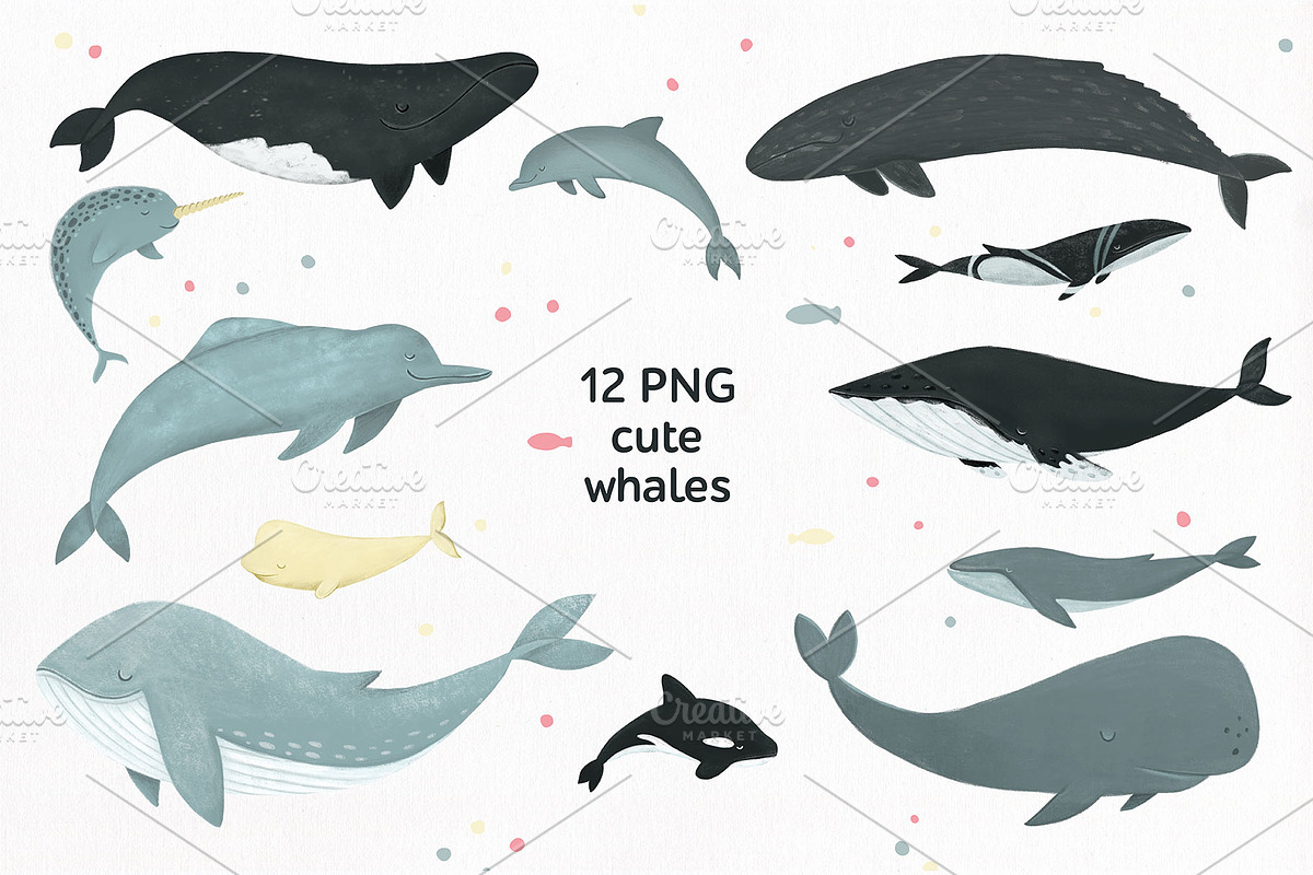 WHALES & another ocean creatures, an Animal Illustration by Alina Mubarak (Photo 2 of 12)