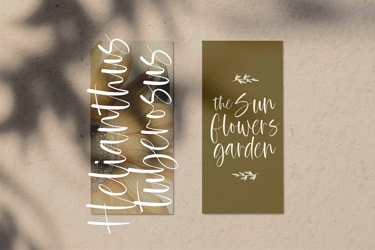 Bohemis Handwritten Font, a Script Font by Letteralle Studios (Photo 2 of 10)