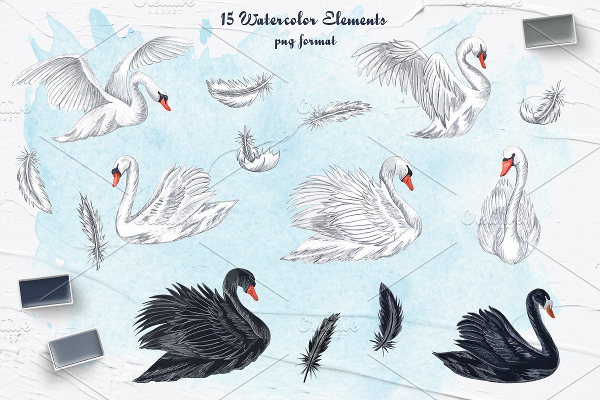 Swans Watercolor Clip Art, an Animal Illustration by BarvArt (Photo 2 of 4)