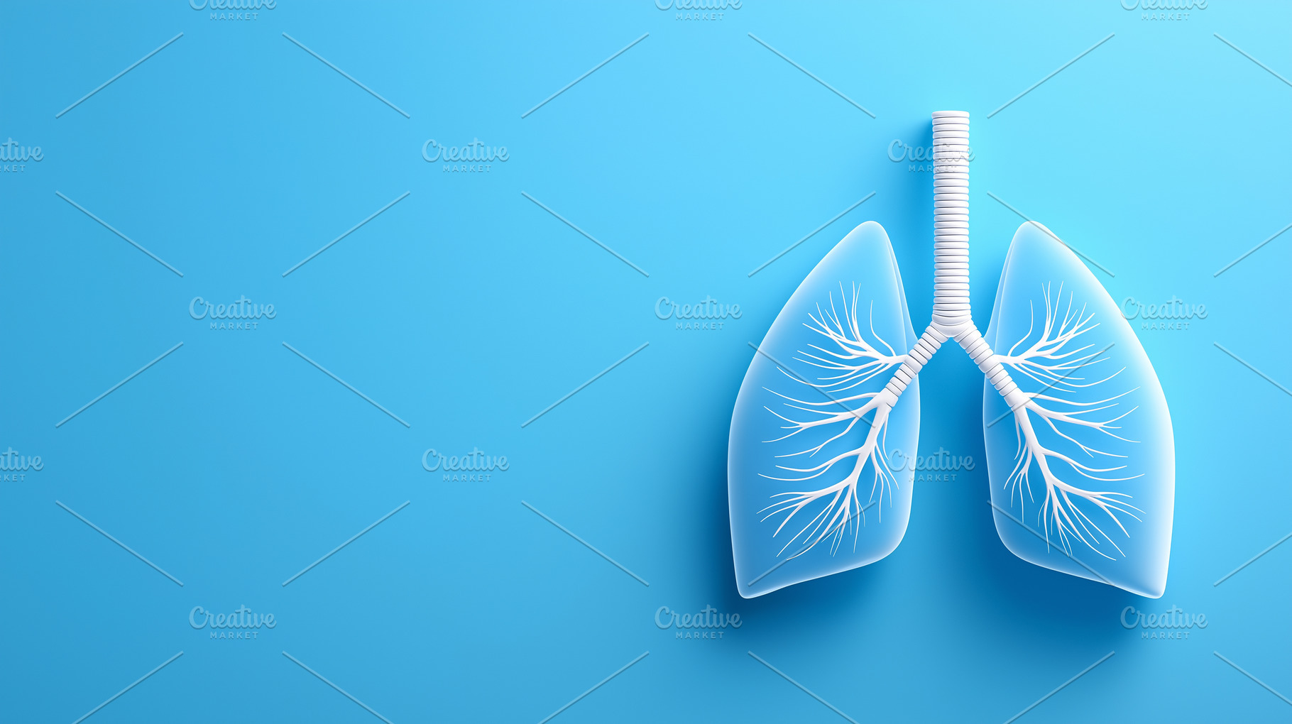 Human lungs with a trachea on a blue, a Health & Medical Photo by MistyDay