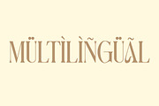 Anova a Elegant & Modern Serif, a Serif Font by Lettertype Studio (Thumbnail 14 of 15)