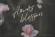 SALE! Font Bundle vol.4 - 10 scripts, a Script Font by Only Fonts (Thumbnail 6 of 33)