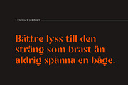 Sandega, a Sans Serif Font by Locomotype (Thumbnail 8 of 11)
