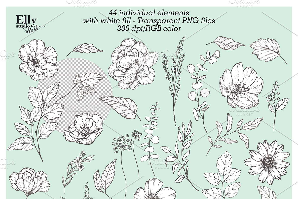 Modern Floral Graphic Collection, a Decorative Illustration by Elly Studio (Photo 7 of 12)