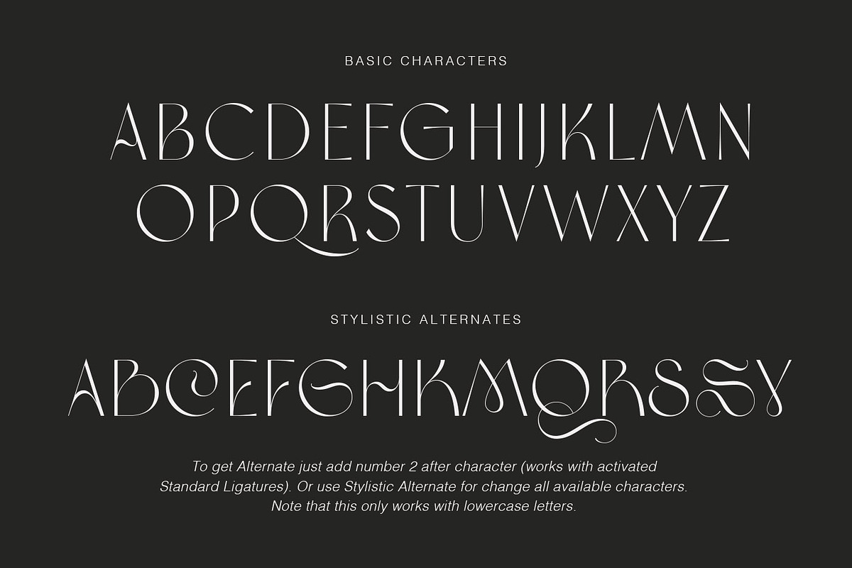 Brema Modern Sans, a Sans Serif Font by Andrey Sharonov (Photo 12 of 19)