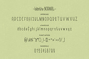 Iolanthe. Retro Handwritten Font., a Sans Serif Font by Wewhitelist (Thumbnail 6 of 13)