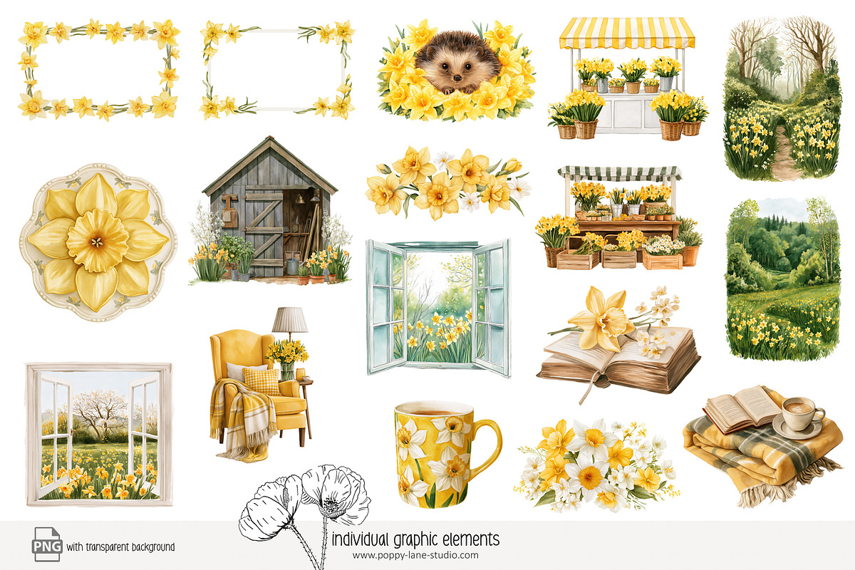100 watercolour daffodil clip art, a Seasonal Illustration by Poppy Lane Studio (Photo 2 of 12)