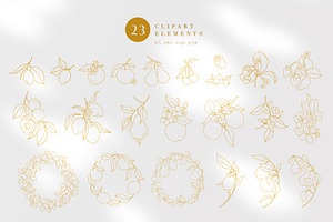 Modern Fruit Logos, Pattern, Clipart