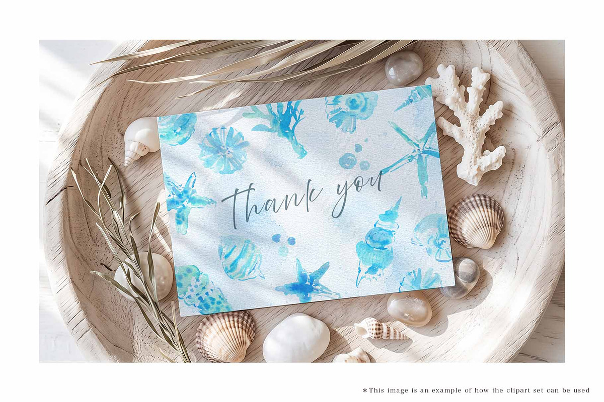 Blue Watercolor Seashell Collection, an Object Graphic by Sawango Designs (Photo 5 of 5)