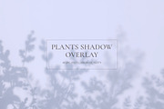 Plants Shadow Overlay, a Background Graphic by M9 Design (Thumbnail 2 of 11)