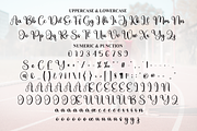 Ready | Script Font, a Handwritten Font by Scratchones (Thumbnail 7 of 9)