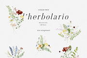 l'Herbolario - Wild Floral Graphics, an Illustration by studioequinox (Thumbnail 5 of 14)