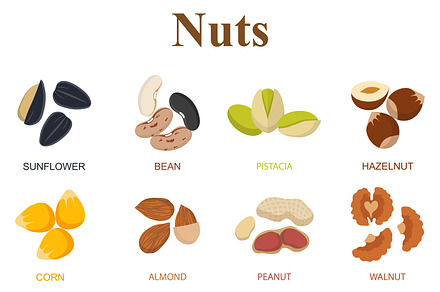 Set of eight different types nuts