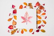 Autumn watercolor, a Decorative Illustration by Iryna Danyliuk (Thumbnail 7 of 10)