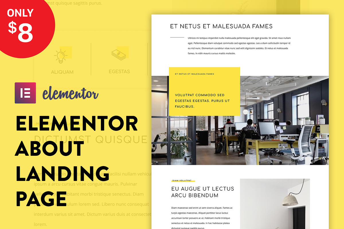 Elementor Landing Page Template, an UI Kit Template by Elementor Market (Photo 1 of 2)