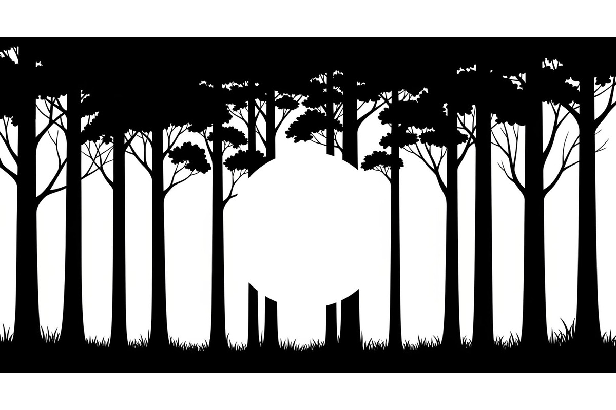 Forest Frame Silhouette SVG Bundle, an Illustration by jahid234 (Photo 41 of 51)
