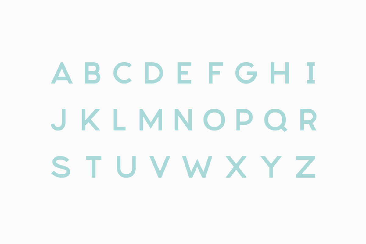 Pantra Type Family preview 5