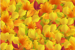 autumn fall leaves colorful back, an Illustration by IfH