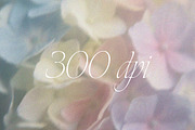 Soft Blurred Floral Backgrounds, a Background Graphic by margotikaj (Thumbnail 4 of 5)