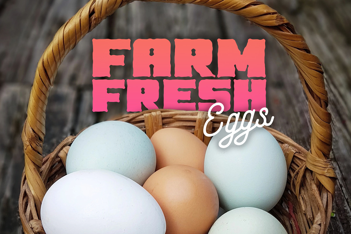 Oil Slick Font + Bonus Elements, a Font by Von Type Co (Photo 6 of 8)