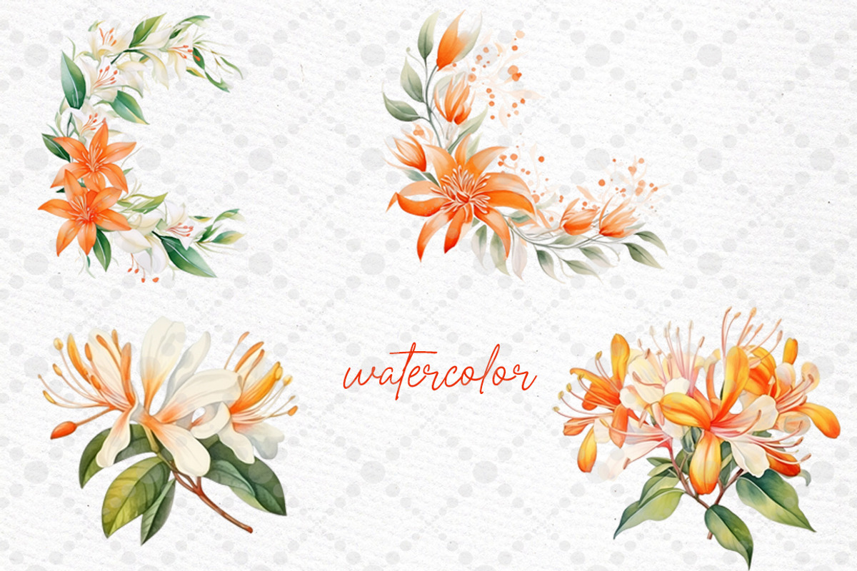 Orange Spring Flowers Honey Lilly, a Decorative Illustration by LeCoqDesign (Photo 2 of 5)