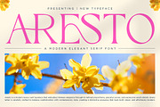 Aresto - Modern Elegant Serif Font, a Serif Font by Muflieart (Thumbnail 1 of 8)