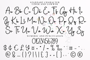 Blithely, a Handwritten Font by FreshTypeINK (Thumbnail 7 of 8)