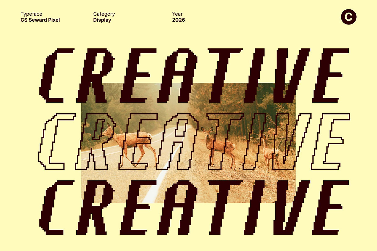 CS Seward Pixel, a Sans Serif Font by Craft Supply Co. (Photo 7 of 8)