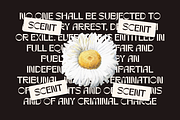 Rynogen - Decorative Typeface, a Sans Serif Font by Comactype Foundry (Thumbnail 2 of 14)