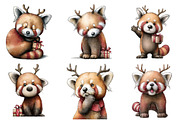 Red Panda with Emotion Clipart, an Illustration by DreamArtGraphic (Thumbnail 2 of 5)
