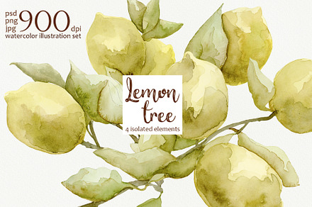 Watercolor lemons illustrations set