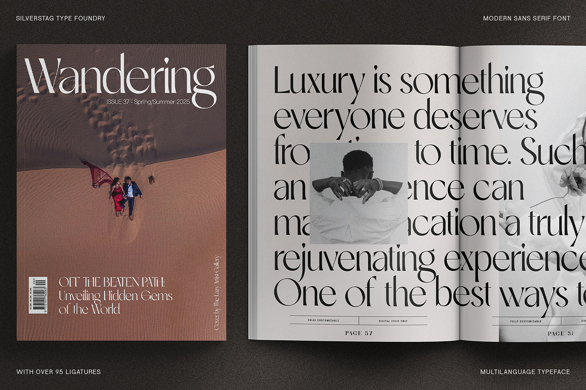 SLTF Night Windfall - Ligature Sans, a Sans Serif Font by SilverStag Type Foundry (Photo 11 of 30)