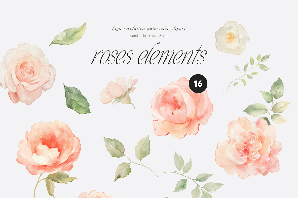 SPRING BOX Watercolor Bundle 400+, a Decorative Illustration by Muse Artist (Photo 88 of 99)