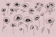 Poppies & Anemones Procreate Stamps, a Brush Add-On by Dervik Art Store (Thumbnail 2 of 9)