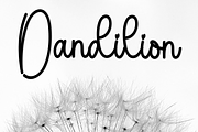 Single Cake, a Handwritten Font by InermediaSTUDIO (Thumbnail 4 of 8)