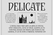CS Arcane – Decorative Font, a Serif Font by Craft Supply Co. (Thumbnail 3 of 8)