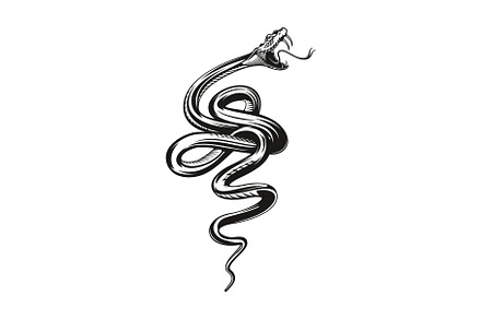 Snake tattoo, angry black viper, an Animal Illustration by Vector Tradition