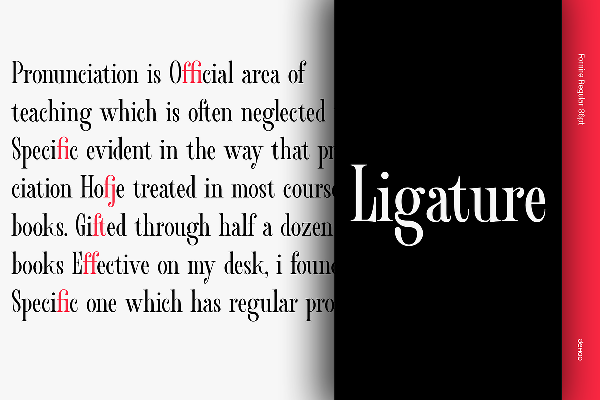 Fornire - Elegant Serif Family, a Font by Jehoo Creative (Photo 7 of 10)