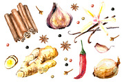 Herbs and Spices watercolor set, an Object Graphic by Vikeriya (Thumbnail 2 of 5)