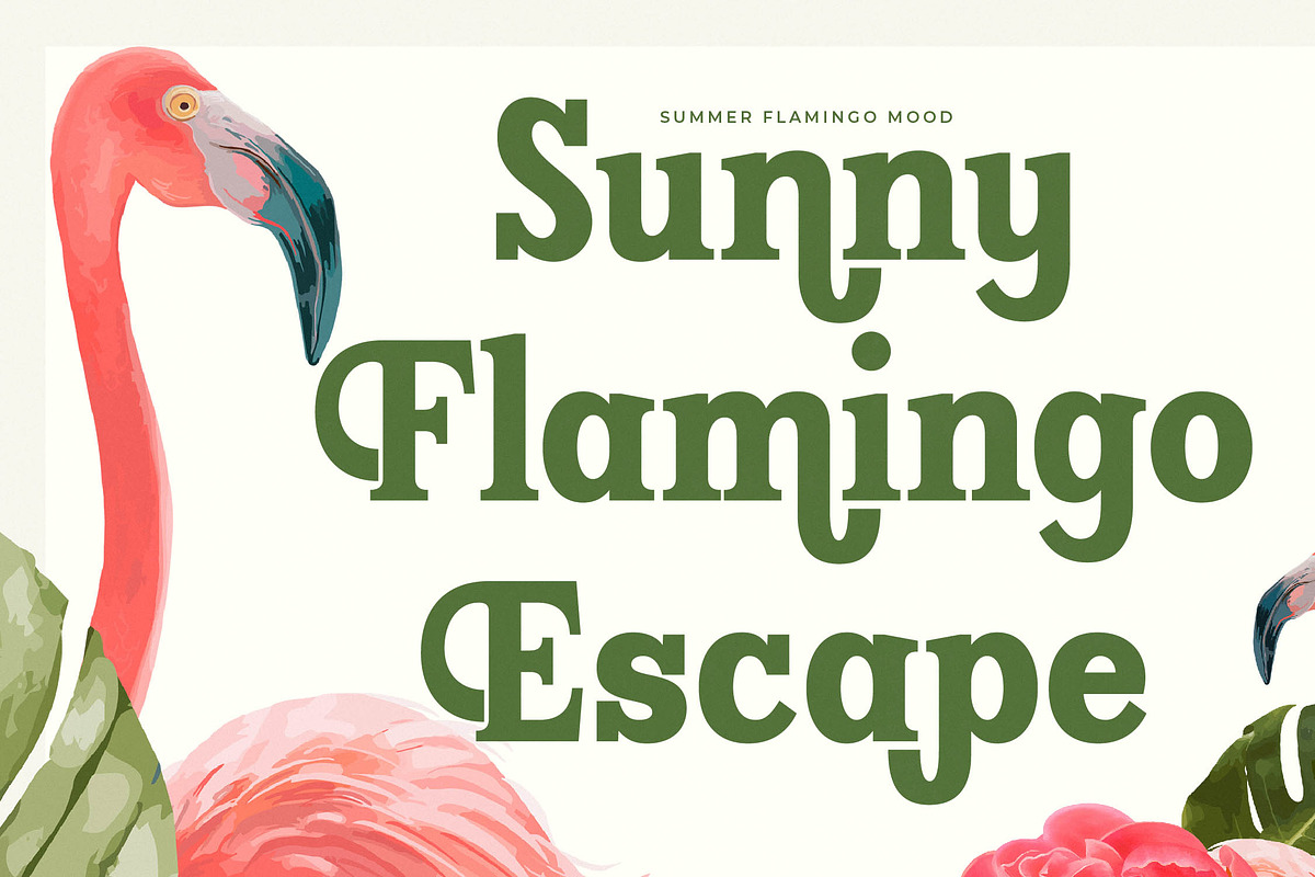 Island Boyage Modern Serif Font, a Serif Font by timelesstype.co (Photo 5 of 20)